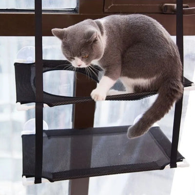 Cat Hammock Window Bed with Suction Cup AliExpress