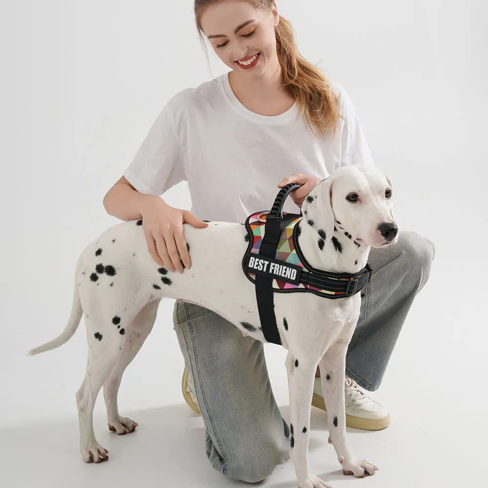 Customizable Luxury Dog Harness