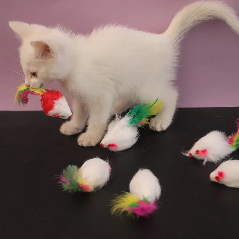 Interactive Cat Toy with Feather Mouse AliExpress