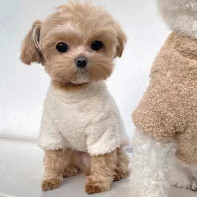 Cozy Winter Dog Sweater for Small to Medium Dogs AliExpress