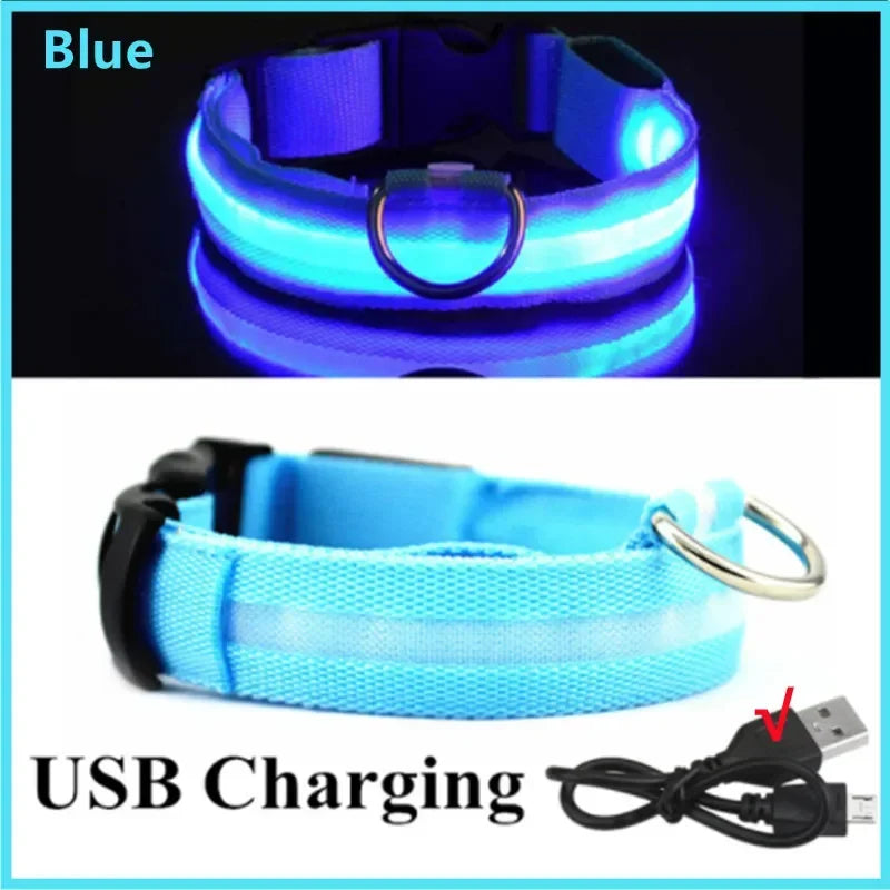 USB LED Glow Dog Collar