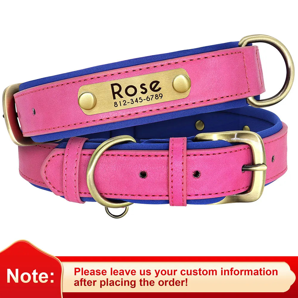 Custom Leather Dog ID Collar