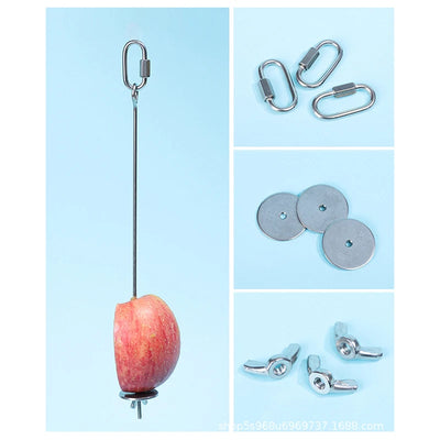 Stainless Steel Fruit Fork for Parrots and Birds AliExpress