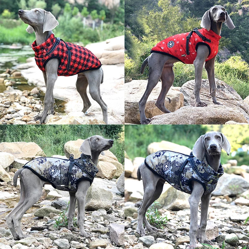 Waterproof Fleece Dog Jacket with Harness for Small & Large Dogs AliExpress