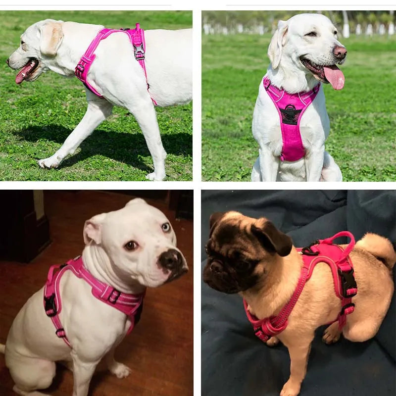 Reflective Breathable Pet Harness Vest