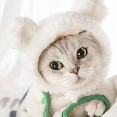 Cute Bear Rabbit Hooded Pet Cat Dog Accessories Cosplay Cat Hat Winter Lovely New Year Puppy Headgear Soft Velvet Pets Supplies Poochi Paws