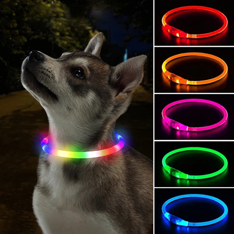 USB LED Dog Collar Light