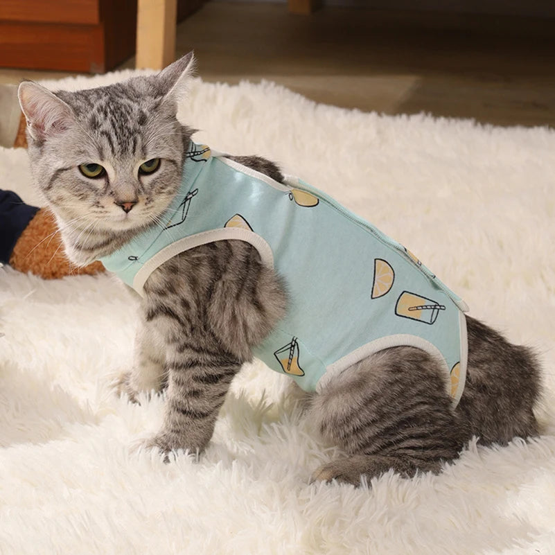 Cat and Puppy Sterilization Surgery Recovery Suit AliExpress