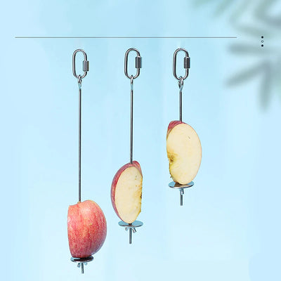 Stainless Steel Fruit Fork for Parrots and Birds AliExpress