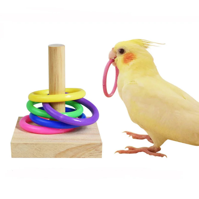 Bird Training Puzzle Toy Set for Parrots AliExpress