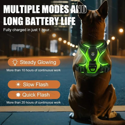 LED Glowing Luminous Dog Harnesses Essential for Dog Walking Safety at Night Dog Vest with Three LED Light Modes Rechargeable Poochi Paws