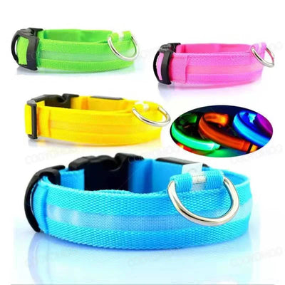 USB LED Glow Dog Collar