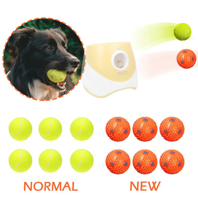 Elastic Dog Tennis Balls – 12-Pack Set AliExpress