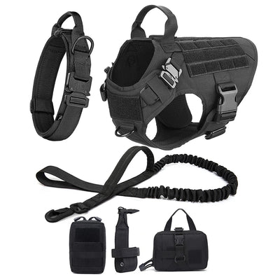 Large Dog Harness & Leash Set