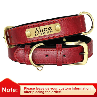 Custom Leather Dog ID Collar