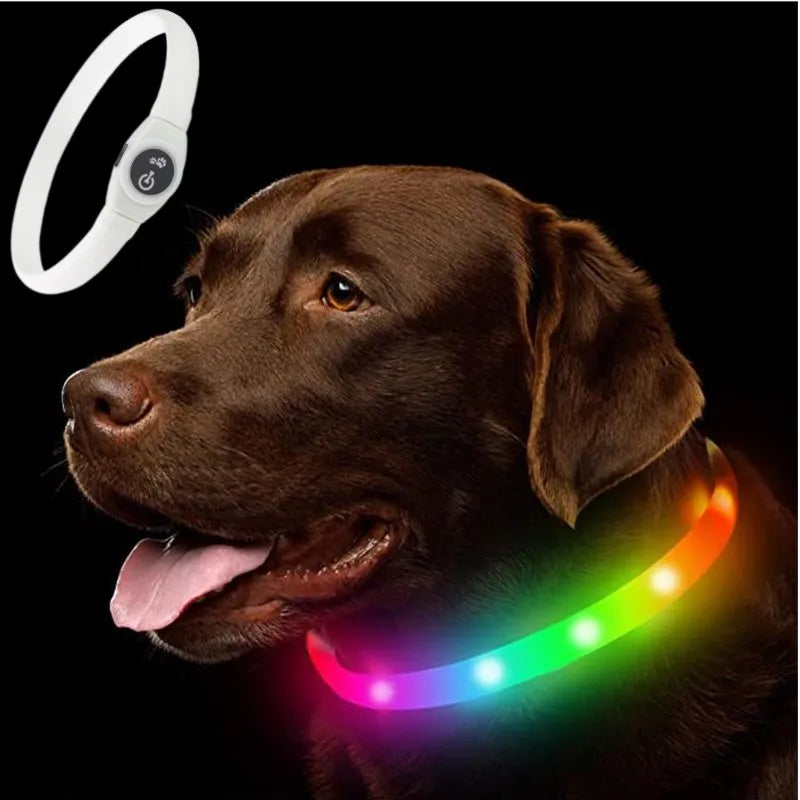 New Led Luminous Dog Collar PVC Waterproof , For Large Medium Small Dogs Collar Usb Light Night Safety Pet Glowing Accessories Poochi Paws