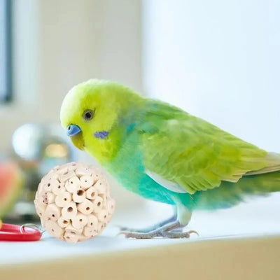 Parrot Chew and Foraging Ball Toy for Birds AliExpress