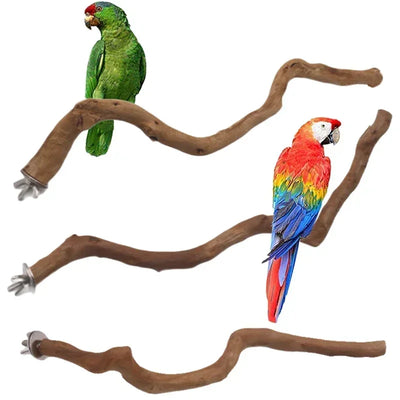 Natural Wood Parrot Perch with Paw Grinding Branch AliExpress