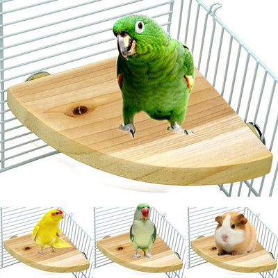 Wooden Fan-Shaped Bird Perch for Small Pets AliExpress