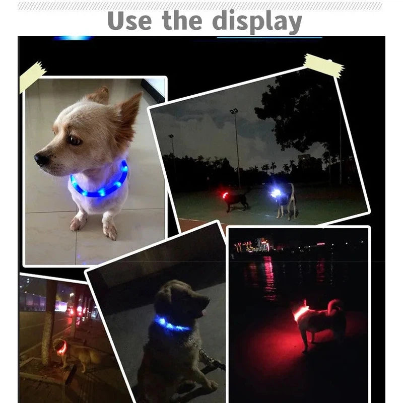 New Led Luminous Dog Collar PVC Waterproof , For Large Medium Small Dogs Collar Usb Light Night Safety Pet Glowing Accessories Poochi Paws