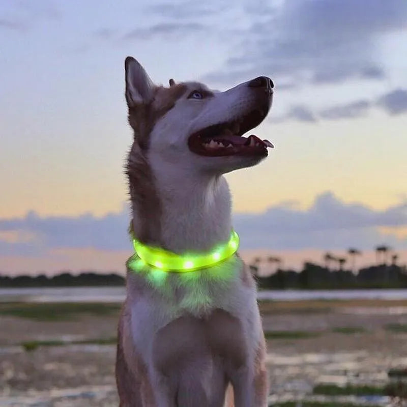 New Led Luminous Dog Collar PVC Waterproof , For Large Medium Small Dogs Collar Usb Light Night Safety Pet Glowing Accessories Poochi Paws