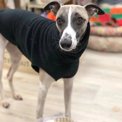 Soft Fleece Turtleneck Vest for Whippets & Italian Greyhounds AliExpress