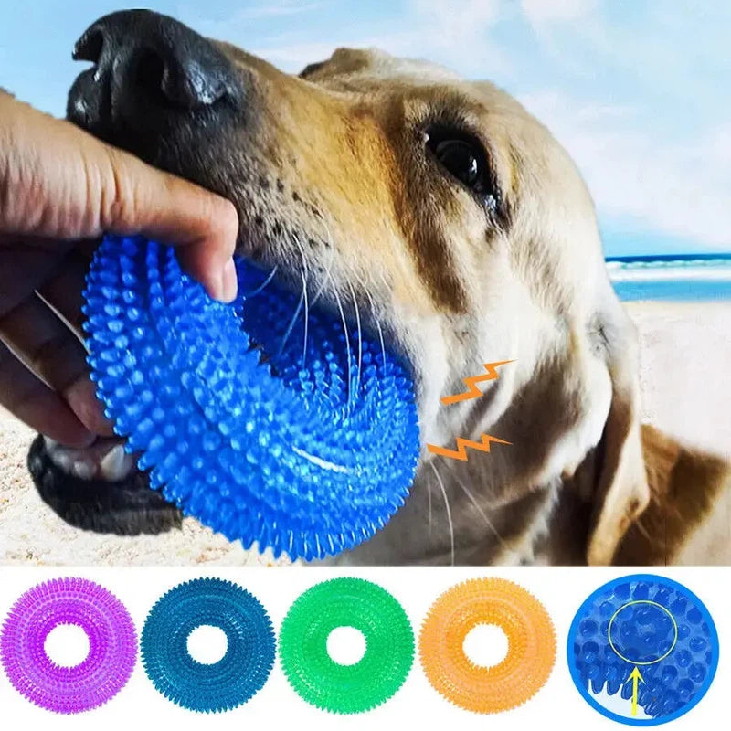 Squeaky Chew Ring for Dog Dental Health & Fun AliExpress