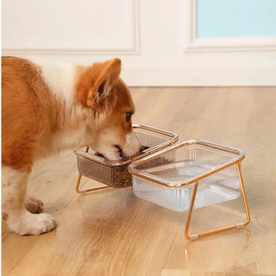 Transparent Elevated Pet Bowl for Cats and Dogs AliExpress