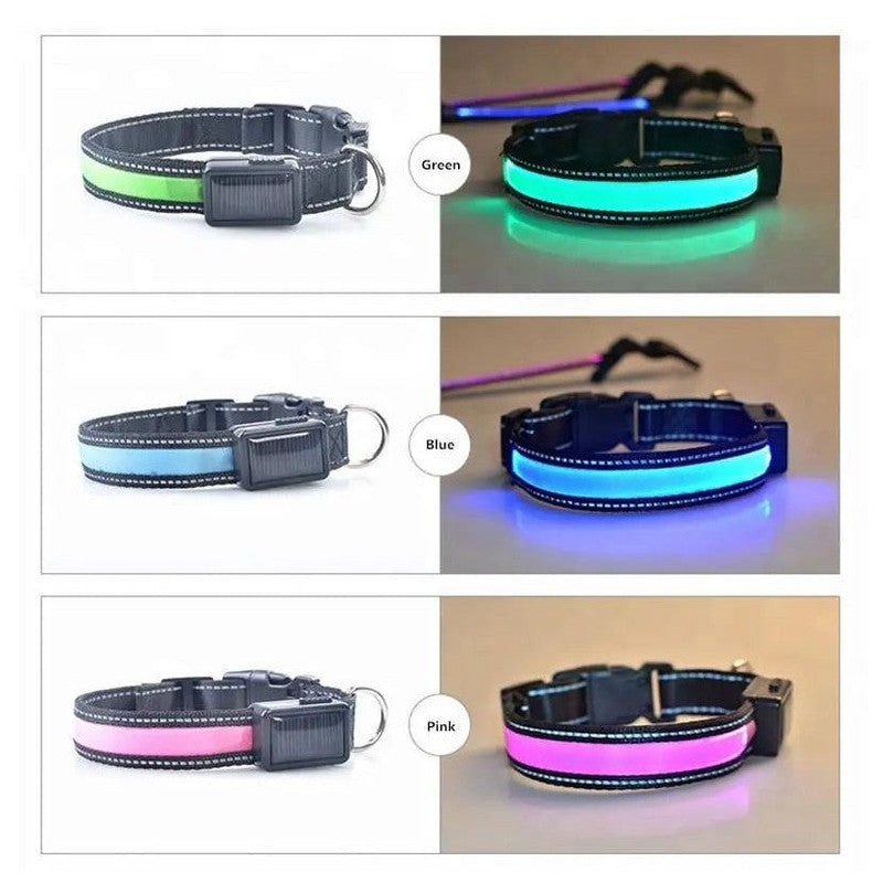 USB and Solar Charge Reflective Led Dog Collar Tan Cress