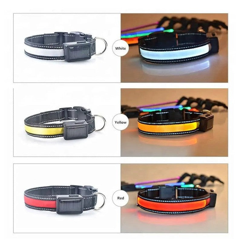 USB and Solar Charge Reflective Led Dog Collar Tan Cress