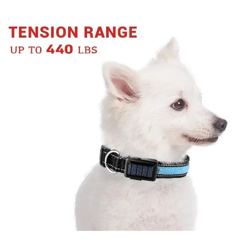 USB and Solar Charge Reflective Led Dog Collar Tan Cress