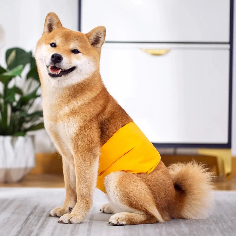 Washable Absorbent Dog Diapers for Male Dogs, Adjustable Fit AliExpress