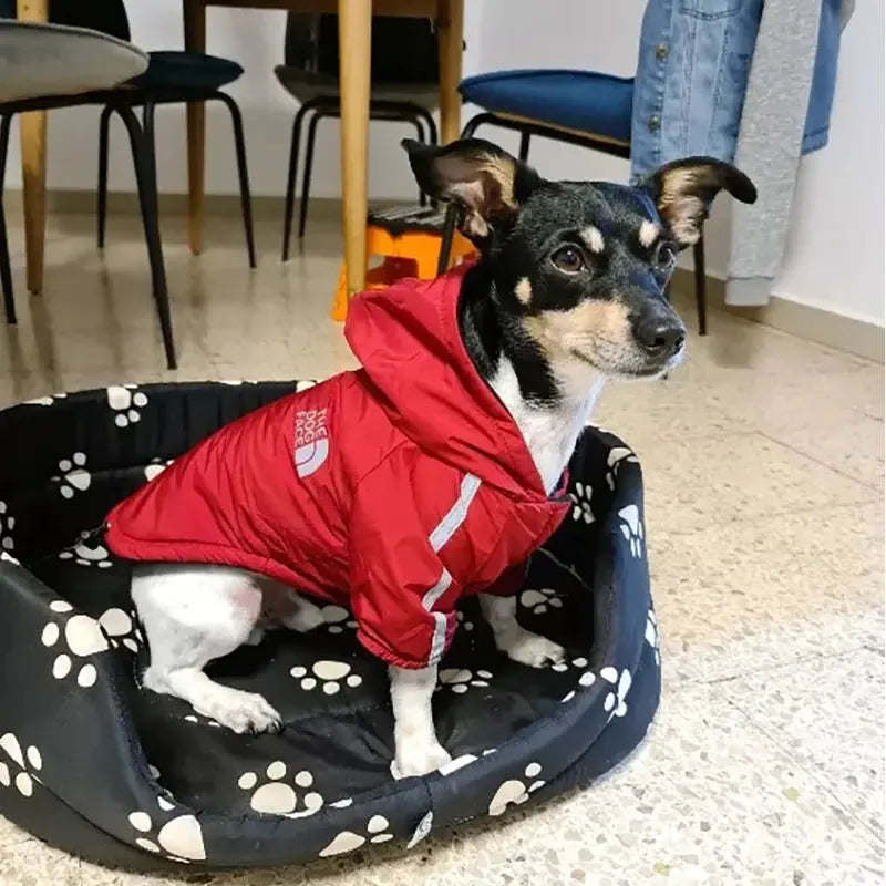 Waterproof Reflective Winter Dog Jacket for Small & Medium Dogs AliExpress