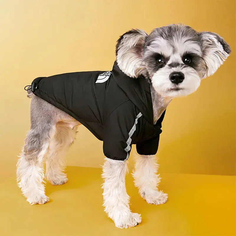 Waterproof Reflective Winter Dog Jacket for Small & Medium Dogs AliExpress