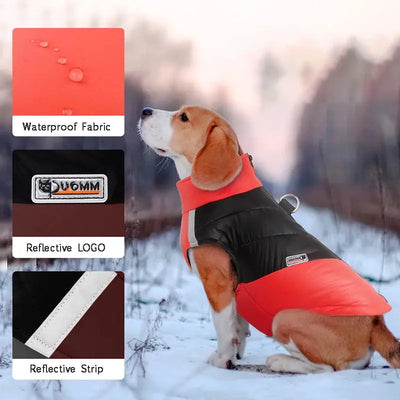 Waterproof Winter Dog Jacket for Small & Large Breeds AliExpress