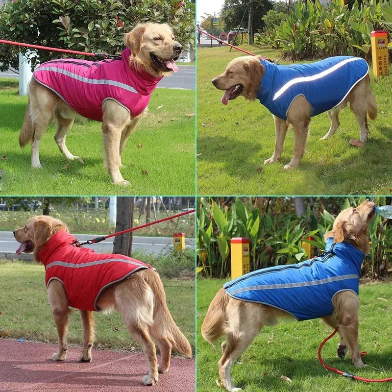 Waterproof Winter Jacket for Large Dogs with Reflective Design AliExpress