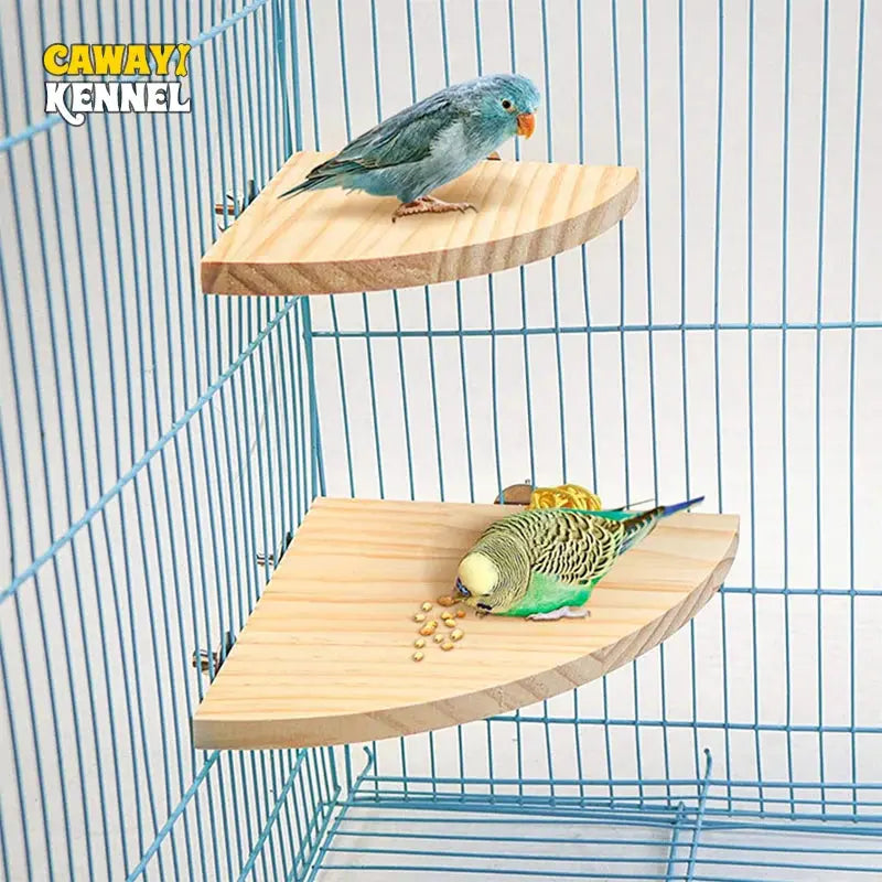 Wooden Fan-Shaped Bird Perch for Small Pets AliExpress