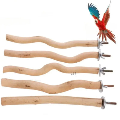 Wooden Parrot Perch Swing and Chew Toy AliExpress