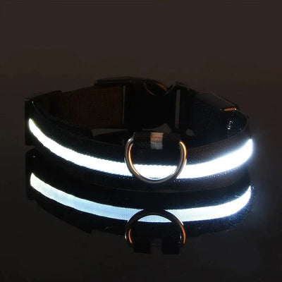 LED Glow Dog Collar