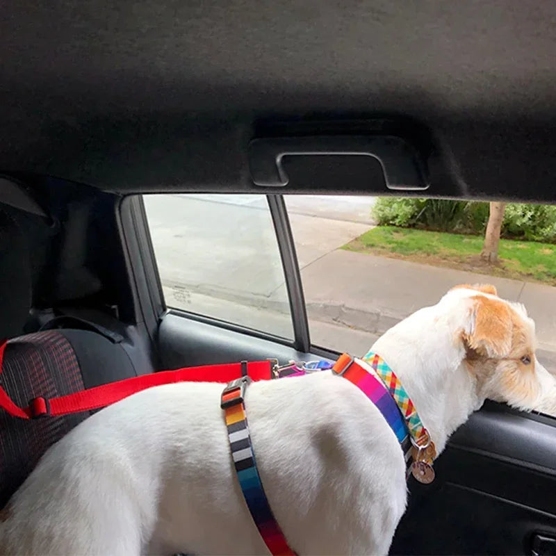 Two-in-One Pet Car Seatbelt