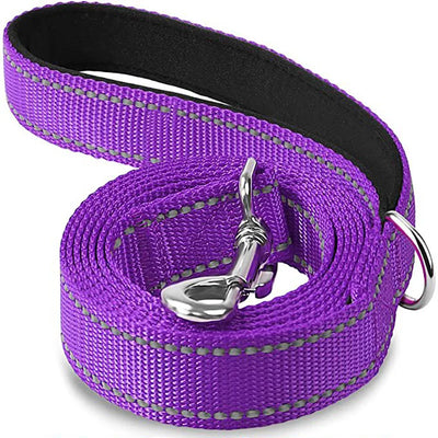 Reflective Pet Walking Leash