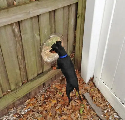 Pet Peek Fence Window