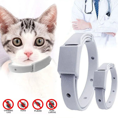 Anti - Flea & Tick Pet Collar - Poochi Paws