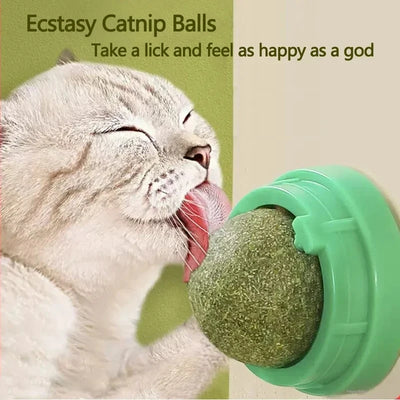 Natural Catnip Scratching Post