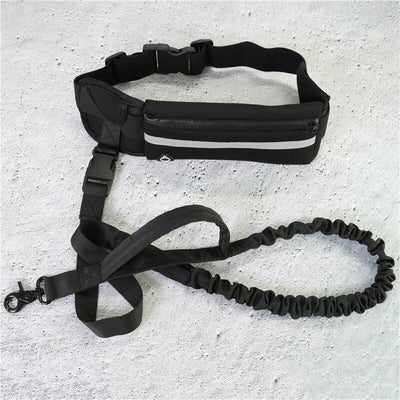 Hands-Free Dog Walking Leash