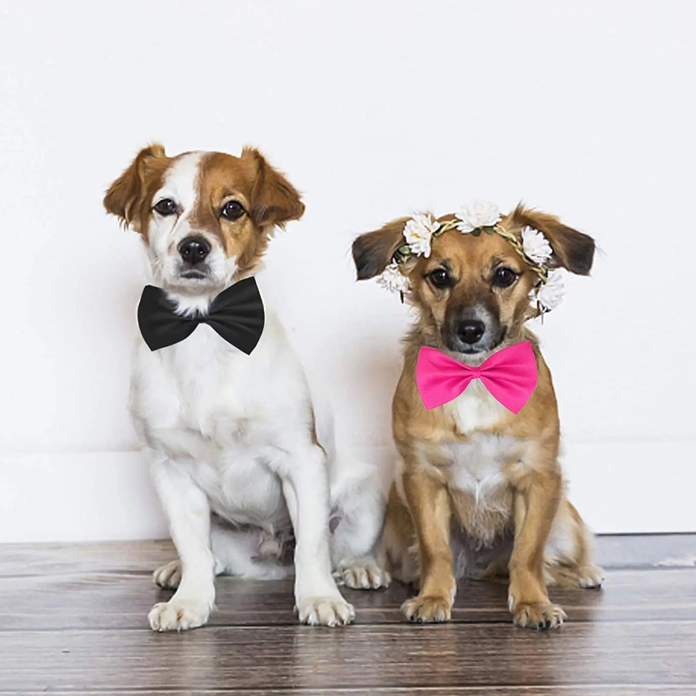 Bulk Pet Bow Tie Set - 50 or 100 set - Poochi Paws