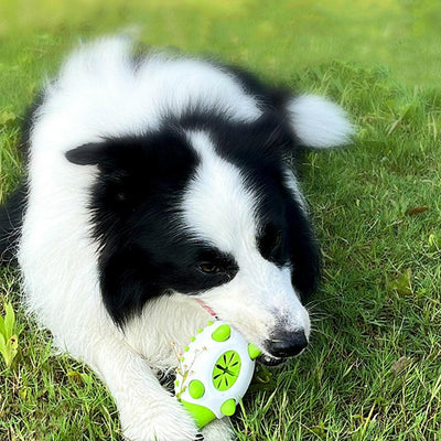 Interactive Dog Chew Toy