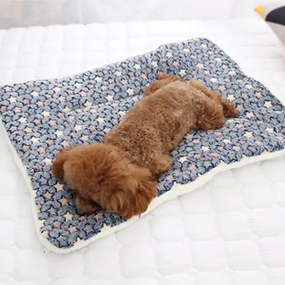 Cozy Pet Blanket - Poochi Paws