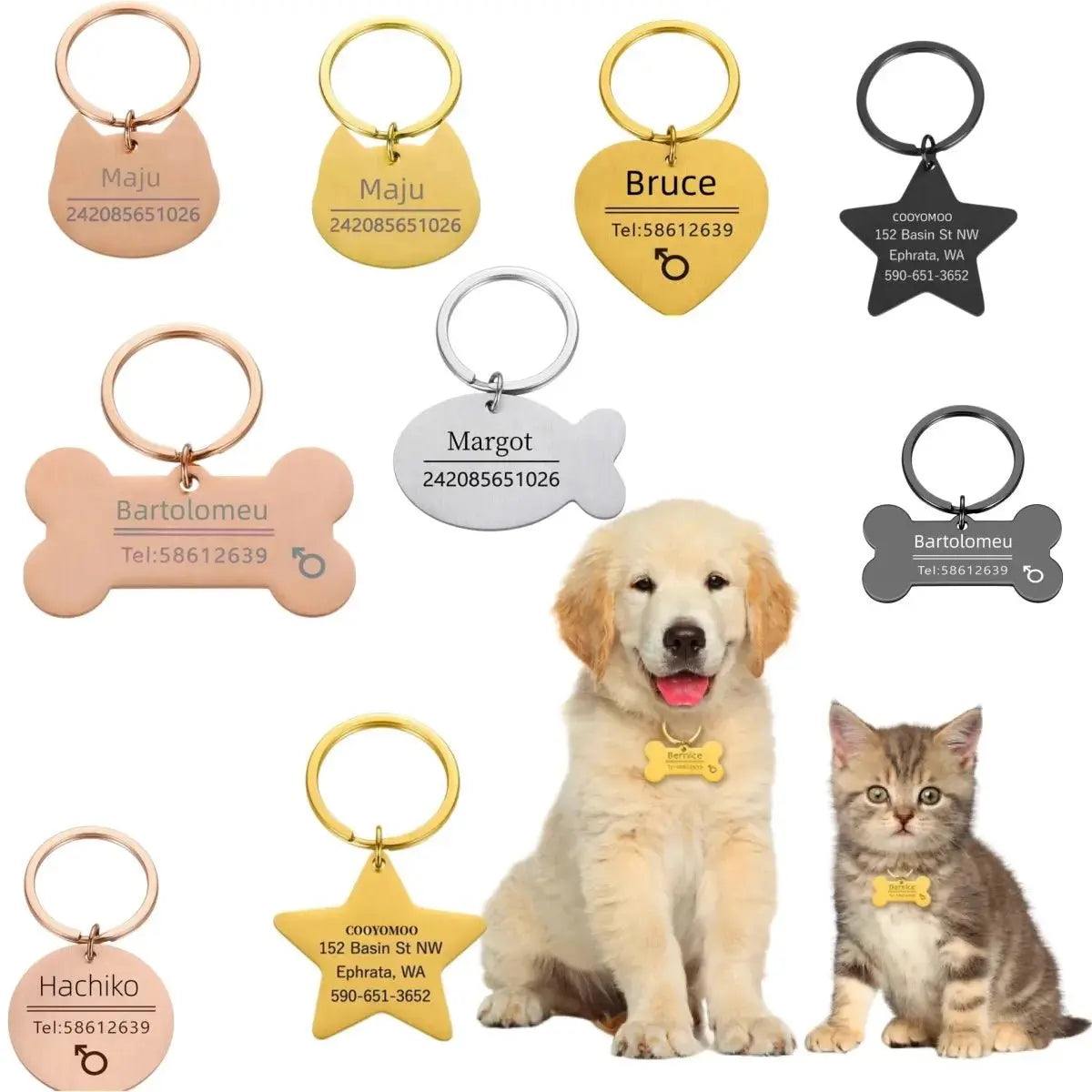 Custom Engraved Pet ID Charm - Poochi Paws