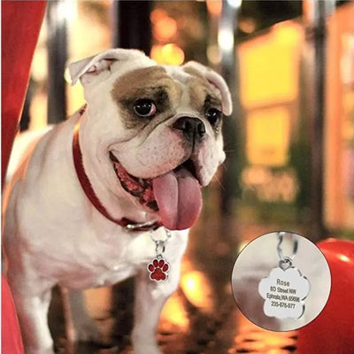 Custom Engraved Stylish Pet ID Tag - Poochi Paws